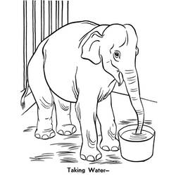 Disegno da colorare: Zoo (Animali) #201751 - Pagine da Colorare Stampabili Gratuite