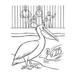 Disegno da colorare: Zoo (Animali) #201754 - Pagine da Colorare Stampabili Gratuite