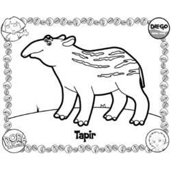 Disegno da colorare: Go Diego! (Cartoni Animati e Serie Animate) #48508 - Pagine da Colorare Stampabili Gratuite