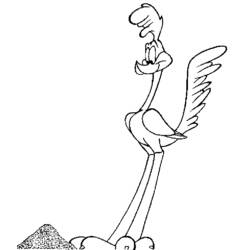 Disegno da colorare: Road Runner e Wile E. Coyote (Cartoni Animati e Serie Animate) #47178 - Pagine da Colorare Stampabili Gratuite