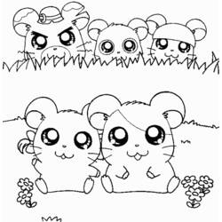 Disegno da colorare: Hamtaro (Cartoni animati) #40030 - Pagine da Colorare Stampabili Gratuite