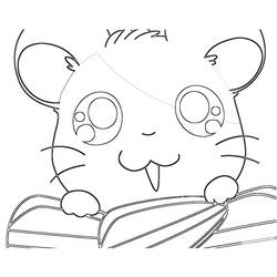 Disegno da colorare: Hamtaro (Cartoni animati) #40193 - Pagine da Colorare Stampabili Gratuite