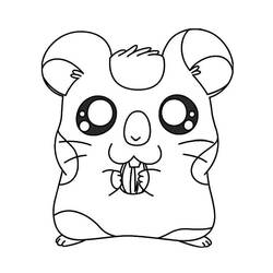 Disegno da colorare: Hamtaro (Cartoni animati) #40198 - Pagine da Colorare Stampabili Gratuite