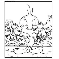 Disegno da colorare: Looney Tunes (Cartoni animati) #39294 - Pagine da Colorare Stampabili Gratuite