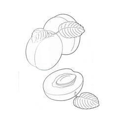 Disegno da colorare: Albicocca (Cibo e Nutrizione) #184244 - Pagine da Colorare Stampabili Gratuite