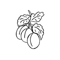 Disegno da colorare: Albicocca (Cibo e Nutrizione) #184250 - Pagine da Colorare Stampabili Gratuite
