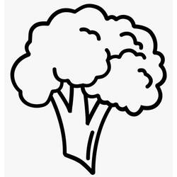 Disegno da colorare: Broccoli (Cibo e Nutrizione) #203711 - Pagine da Colorare Stampabili Gratuite