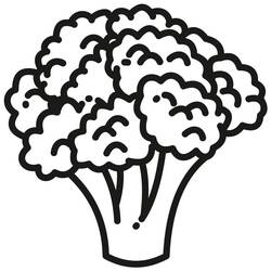 Disegno da colorare: Cavolfiore (Cibo e Nutrizione) #207500 - Pagine da Colorare Stampabili Gratuite