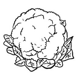Disegno da colorare: Cavolfiore (Cibo e Nutrizione) #207502 - Pagine da Colorare Stampabili Gratuite