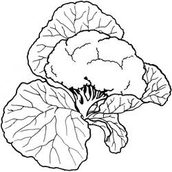 Disegno da colorare: Cavolfiore (Cibo e Nutrizione) #207503 - Pagine da Colorare Stampabili Gratuite