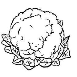 Disegno da colorare: Cavolfiore (Cibo e Nutrizione) #207504 - Pagine da Colorare Stampabili Gratuite