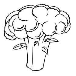 Disegno da colorare: Cavolfiore (Cibo e Nutrizione) #207506 - Pagine da Colorare Stampabili Gratuite