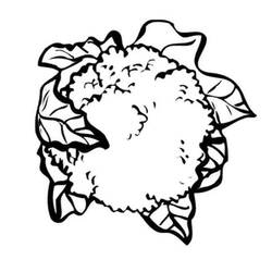 Disegno da colorare: Cavolfiore (Cibo e Nutrizione) #207508 - Pagine da Colorare Stampabili Gratuite