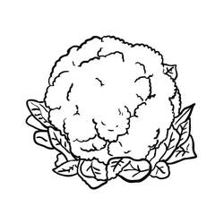 Disegno da colorare: Cavolfiore (Cibo e Nutrizione) #207510 - Pagine da Colorare Stampabili Gratuite