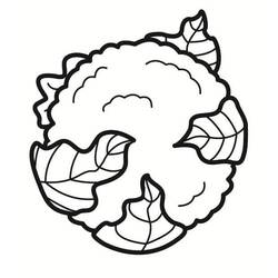 Disegno da colorare: Cavolfiore (Cibo e Nutrizione) #207518 - Pagine da Colorare Stampabili Gratuite