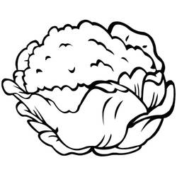 Disegno da colorare: Cavolfiore (Cibo e Nutrizione) #207519 - Pagine da Colorare Stampabili Gratuite