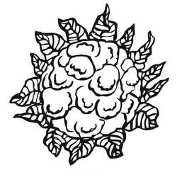 Disegno da colorare: Cavolfiore (Cibo e Nutrizione) #207525 - Pagine da Colorare Stampabili Gratuite