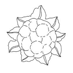 Disegno da colorare: Cavolfiore (Cibo e Nutrizione) #207526 - Pagine da Colorare Stampabili Gratuite