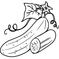 Disegno da colorare: Cetriolo (Cibo e Nutrizione) #207534 - Pagine da Colorare Stampabili Gratuite