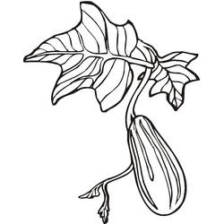 Disegno da colorare: Cetriolo (Cibo e Nutrizione) #207546 - Pagine da Colorare Stampabili Gratuite
