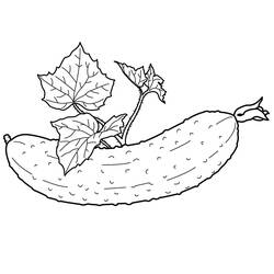 Disegno da colorare: Cetriolo (Cibo e Nutrizione) #207550 - Pagine da Colorare Stampabili Gratuite