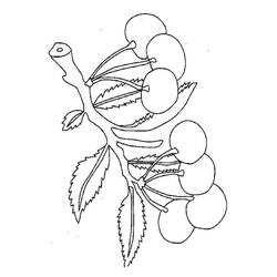Disegni da colorare: Ciliegia - Pagine da Colorare Stampabili Gratuite