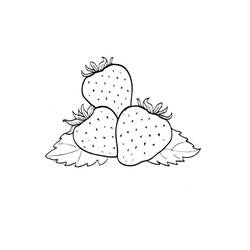 Disegno da colorare: Fragola (Cibo e Nutrizione) #186960 - Pagine da Colorare Stampabili Gratuite