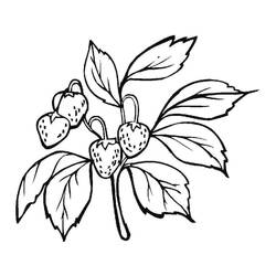 Disegno da colorare: Fragola (Cibo e Nutrizione) #186978 - Pagine da Colorare Stampabili Gratuite