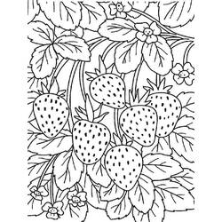 Disegno da colorare: Fragola (Cibo e Nutrizione) #186985 - Pagine da Colorare Stampabili Gratuite