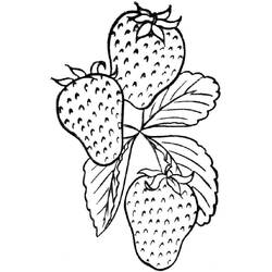 Disegno da colorare: Fragola (Cibo e Nutrizione) #186987 - Pagine da Colorare Stampabili Gratuite