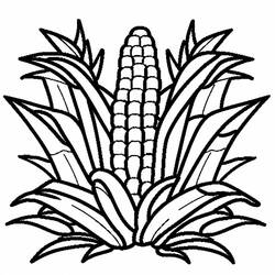 Disegno da colorare: Granturco (Cibo e Nutrizione) #207441 - Pagine da Colorare Stampabili Gratuite