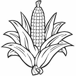 Disegno da colorare: Granturco (Cibo e Nutrizione) #207442 - Pagine da Colorare Stampabili Gratuite