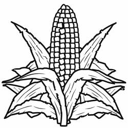 Disegno da colorare: Granturco (Cibo e Nutrizione) #207443 - Pagine da Colorare Stampabili Gratuite