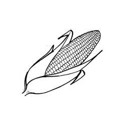 Disegno da colorare: Granturco (Cibo e Nutrizione) #207458 - Pagine da Colorare Stampabili Gratuite