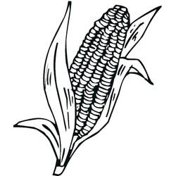 Disegno da colorare: Granturco (Cibo e Nutrizione) #207463 - Pagine da Colorare Stampabili Gratuite