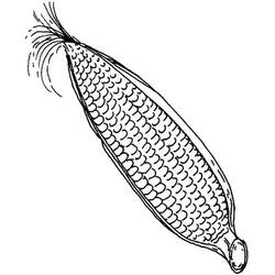 Disegno da colorare: Granturco (Cibo e Nutrizione) #207464 - Pagine da Colorare Stampabili Gratuite