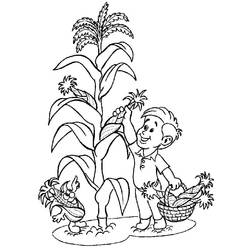 Disegno da colorare: Granturco (Cibo e Nutrizione) #207466 - Pagine da Colorare Stampabili Gratuite