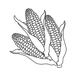 Disegno da colorare: Granturco (Cibo e Nutrizione) #207467 - Pagine da Colorare Stampabili Gratuite