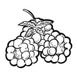Disegno da colorare: Lampone (Cibo e Nutrizione) #214012 - Pagine da Colorare Stampabili Gratuite