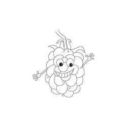 Disegno da colorare: Lampone (Cibo e Nutrizione) #214015 - Pagine da Colorare Stampabili Gratuite
