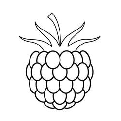 Disegno da colorare: Lampone (Cibo e Nutrizione) #214017 - Pagine da Colorare Stampabili Gratuite