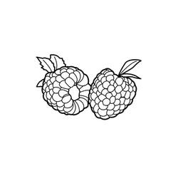 Disegno da colorare: Lampone (Cibo e Nutrizione) #214032 - Pagine da Colorare Stampabili Gratuite