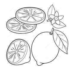 Disegno da colorare: Limone (Cibo e Nutrizione) #185012 - Pagine da Colorare Stampabili Gratuite