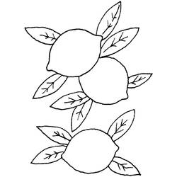 Disegno da colorare: Limone (Cibo e Nutrizione) #185016 - Pagine da Colorare Stampabili Gratuite
