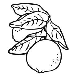 Disegno da colorare: Limone (Cibo e Nutrizione) #185017 - Pagine da Colorare Stampabili Gratuite