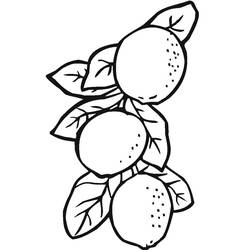 Disegno da colorare: Limone (Cibo e Nutrizione) #185020 - Pagine da Colorare Stampabili Gratuite