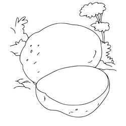 Disegno da colorare: Patata (Cibo e Nutrizione) #207413 - Pagine da Colorare Stampabili Gratuite