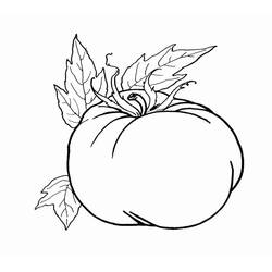 Disegno da colorare: Pomodoro (Cibo e Nutrizione) #195368 - Pagine da Colorare Stampabili Gratuite
