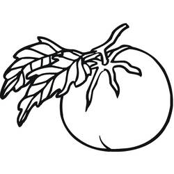 Disegno da colorare: Pomodoro (Cibo e Nutrizione) #195385 - Pagine da Colorare Stampabili Gratuite