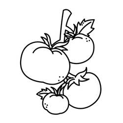 Disegno da colorare: Pomodoro (Cibo e Nutrizione) #195386 - Pagine da Colorare Stampabili Gratuite